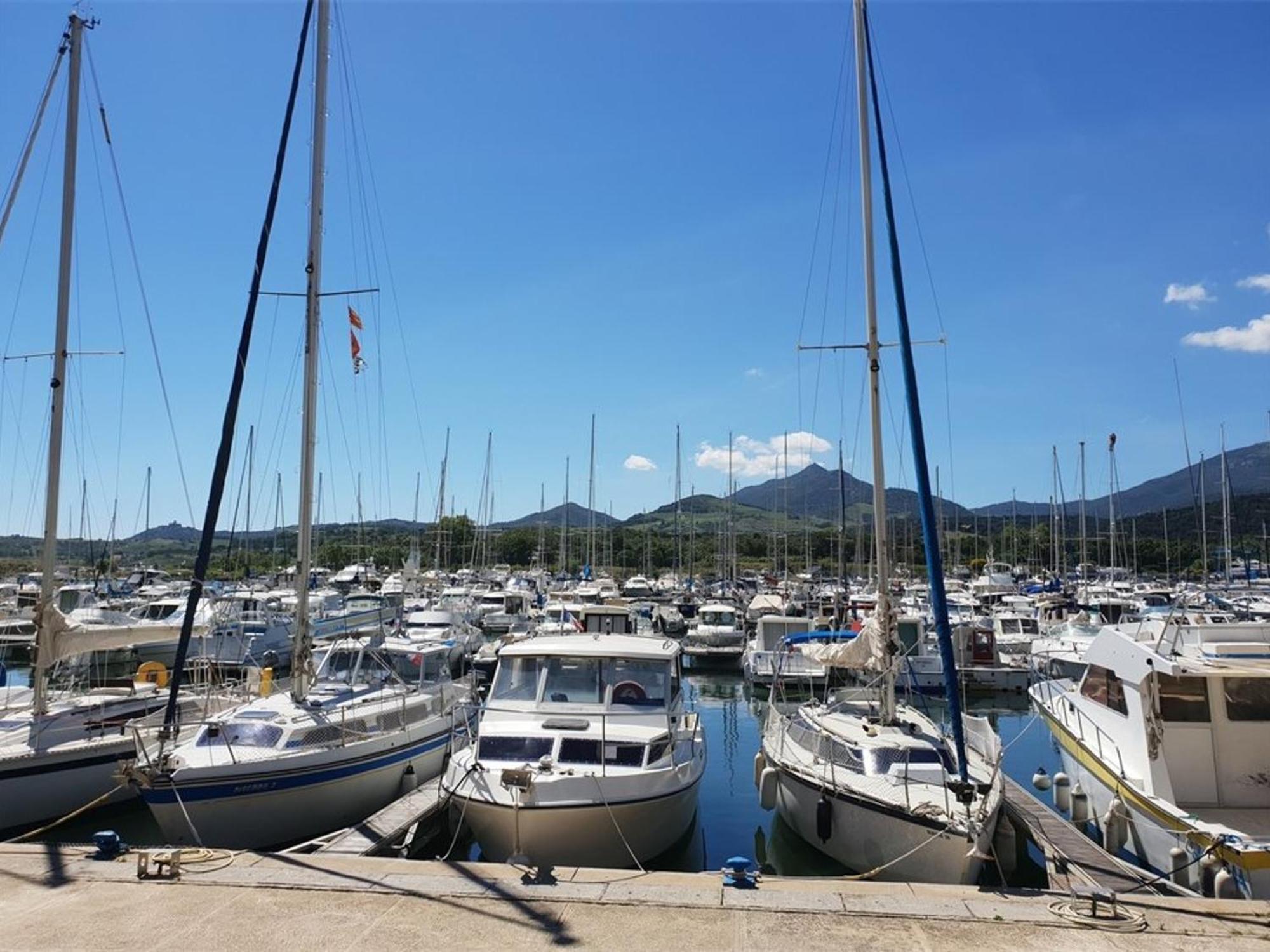 Appartement Climatise A Argeles-Sur-Mer Avec Parking - 4 Couchages - Fr-1-388-52 מראה חיצוני תמונה